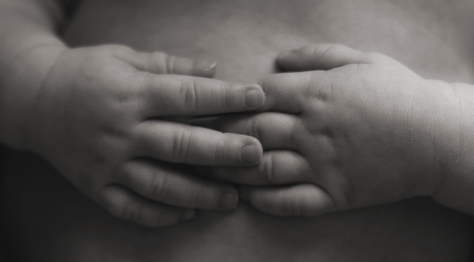 newborn baby's hands by Newborn Photographer In Great Finborough, Near Stowmarket, Ipswich & Bury St Edmunds